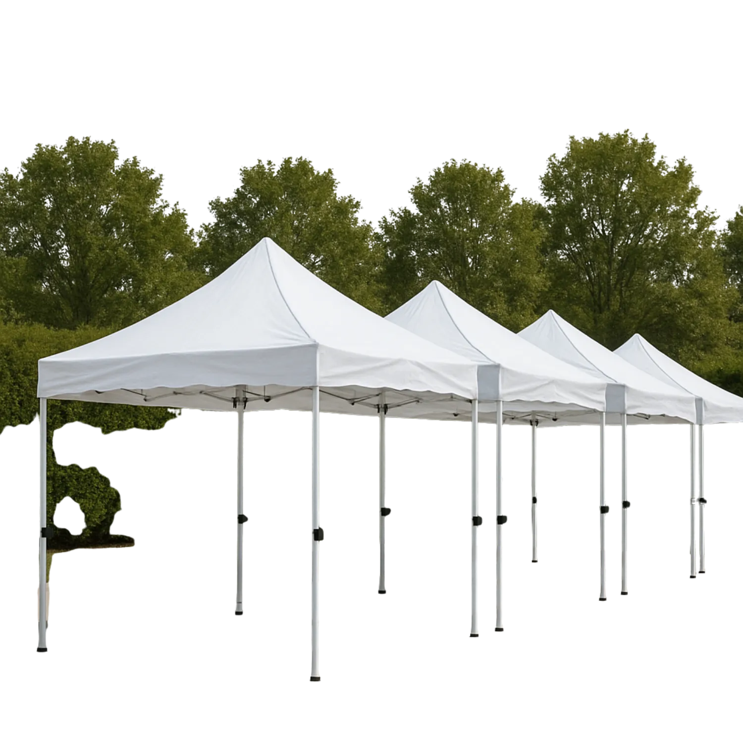 Canopies & Tents 